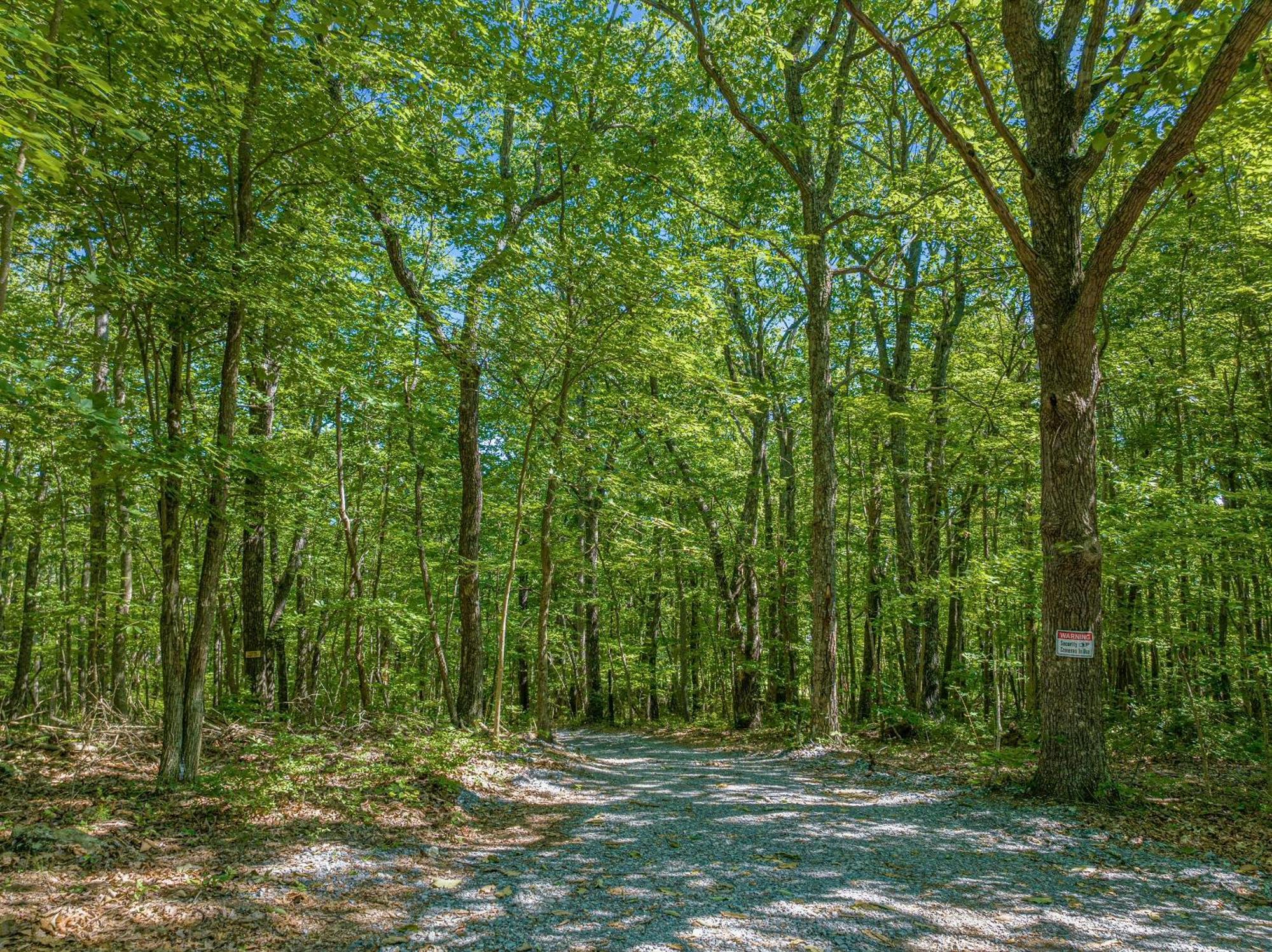 Coyote Cabin At Woodland Retreat At Desoto Beside Desoto State Park فورت باين المظهر الخارجي الصورة