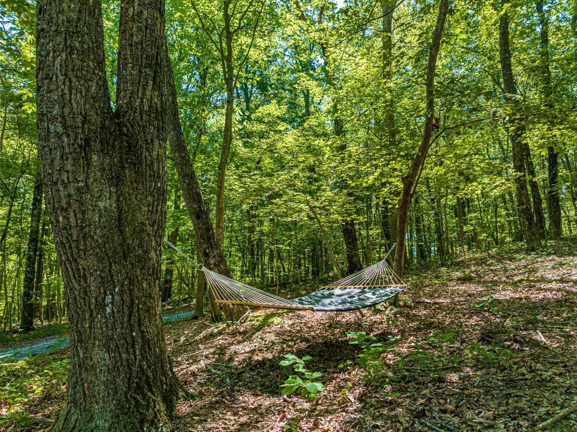 Coyote Cabin At Woodland Retreat At Desoto Beside Desoto State Park فورت باين المظهر الخارجي الصورة